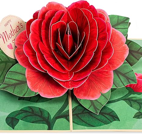 Red Camellia Pop Up Card