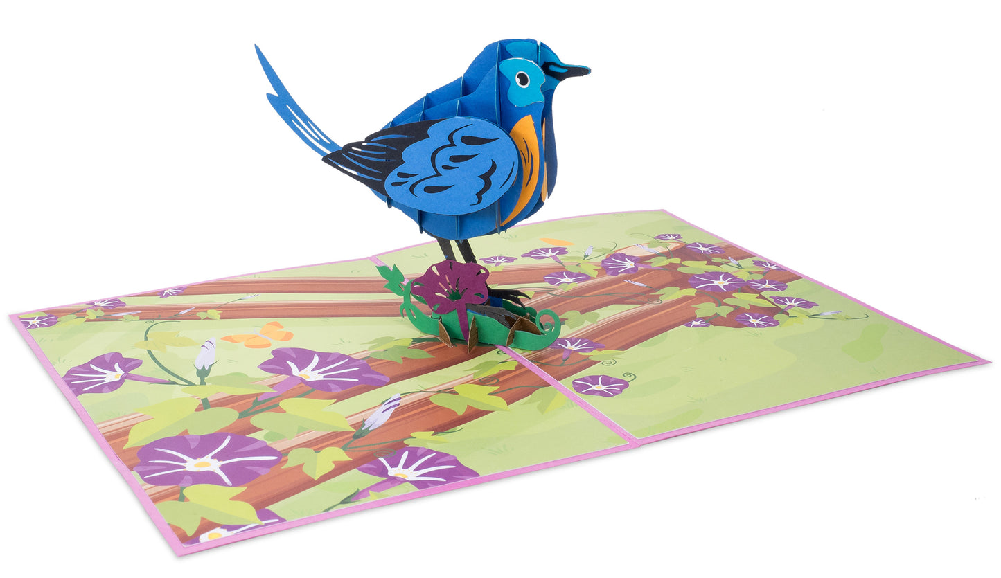 Love Birds 5-Pack Bundle Pop Up Cards