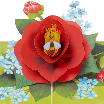 red camellia flower pop up card with small bee