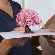 Cherry Blossom Pop Up Card