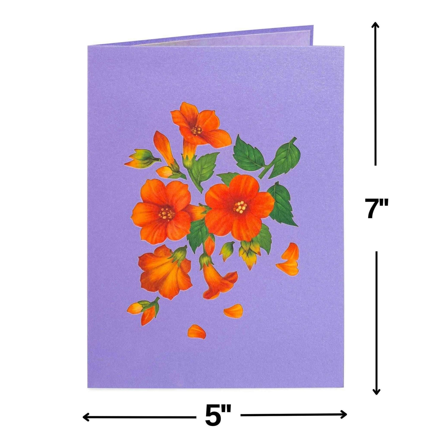 Hummingbird Pop Up Card