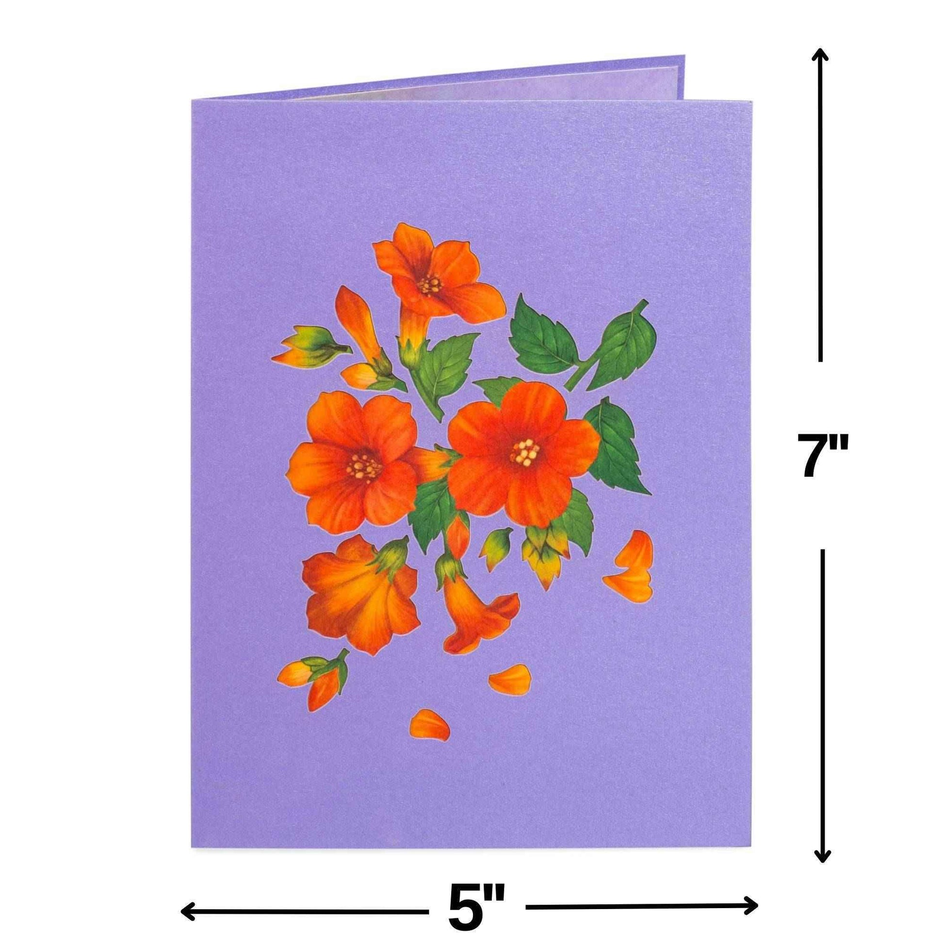 Hummingbird Pop Up Card