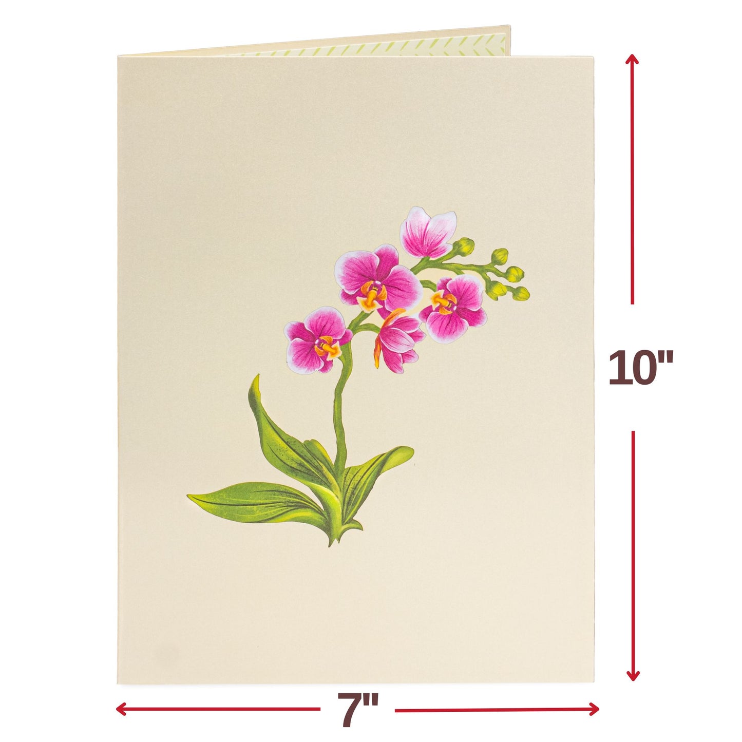 Orchid Flower Bouquet Oversized Pop Up Card with Keepsake