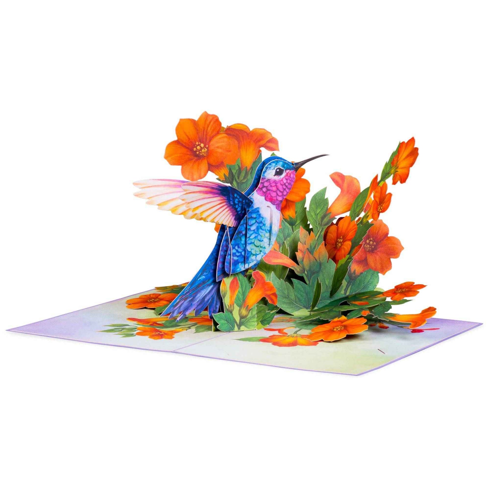 Hummingbird Pop Up Card