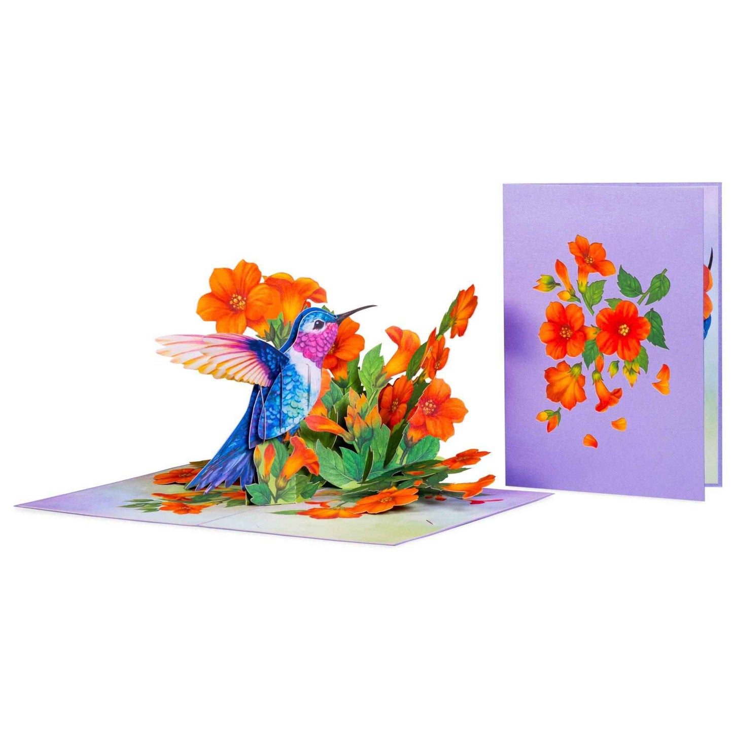Hummingbird Pop Up Card