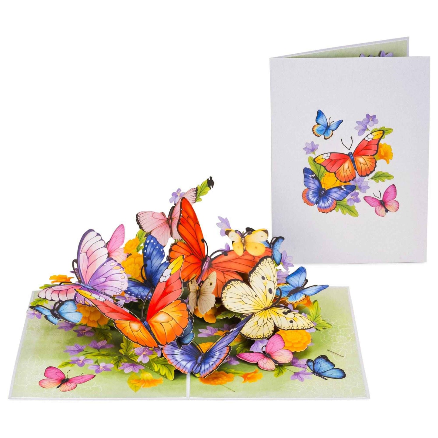 Spring Butterflies Spring Pop Up Card