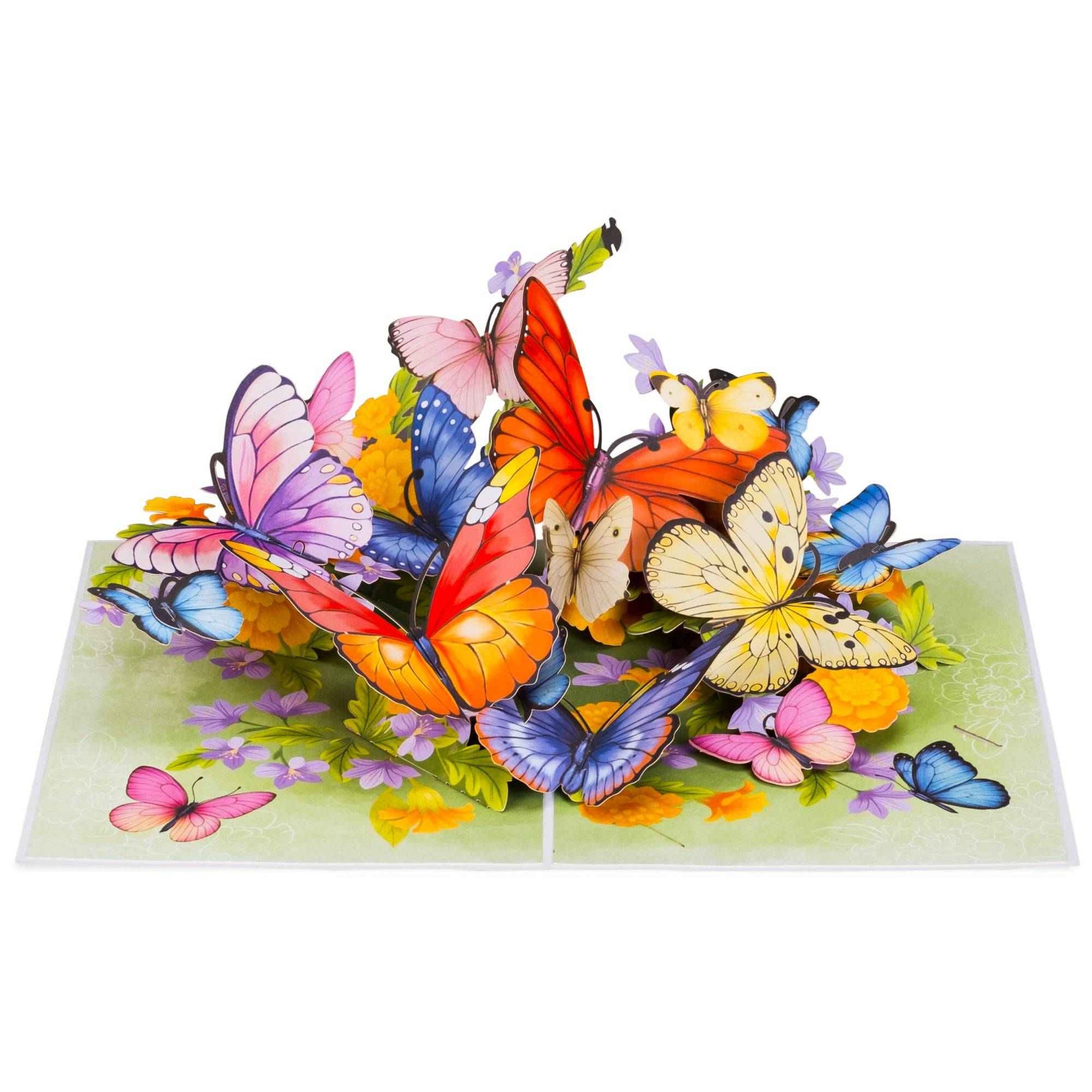 Spring Butterflies Spring Pop Up Card