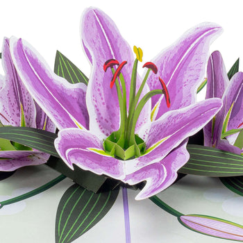 Lilies Pop Up Card