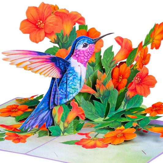 Hummingbird Pop Up Card