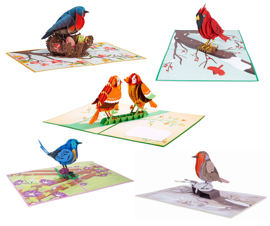 Love Birds 5-Pack Bundle Pop Up Cards