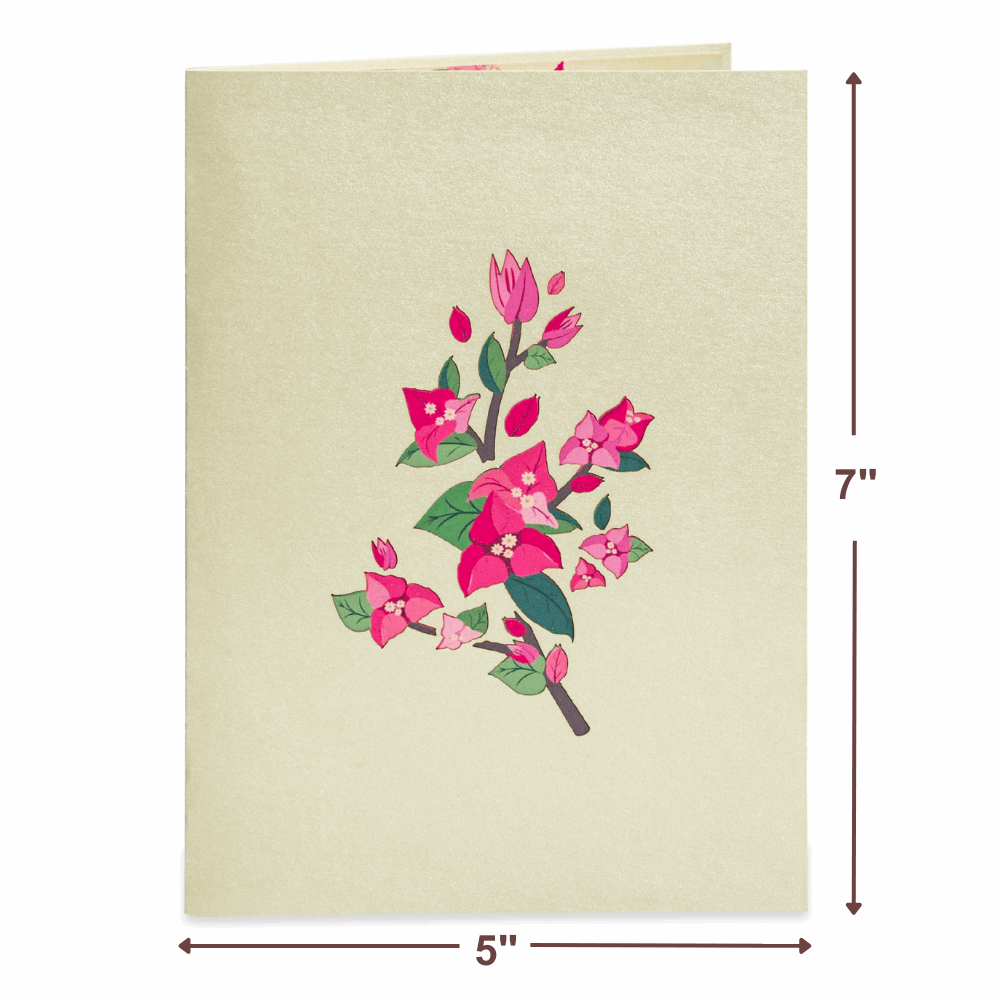 Bougainvillea Tree Pop Up Card