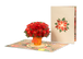 Poinsettias Plant Pop Up Card