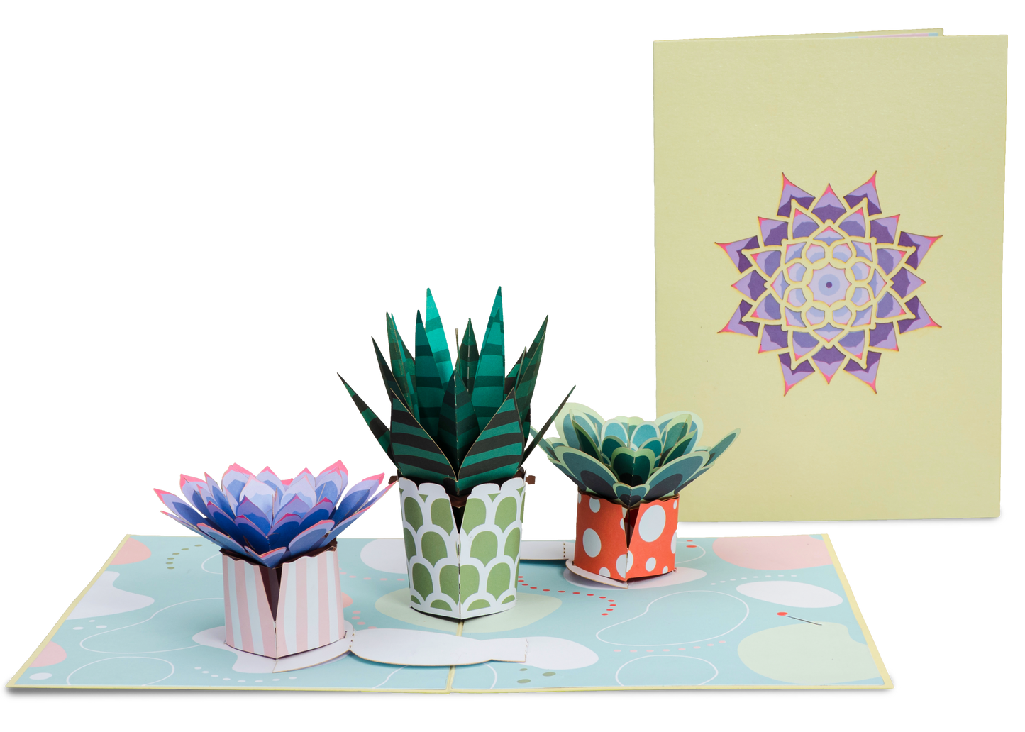 Succulent 5-Pack Bundle Pop Up Cards