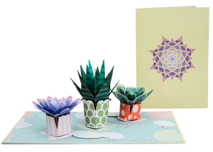 Succulent 5-Pack Bundle Pop Up Cards