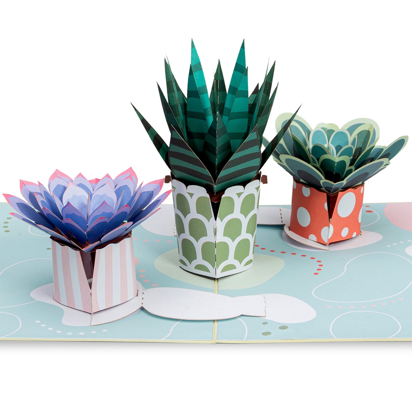 Succulent 5-Pack Bundle Pop Up Cards