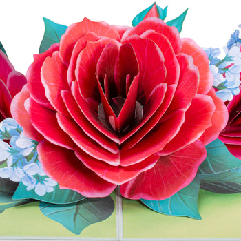 Red Rose Pop Up Card