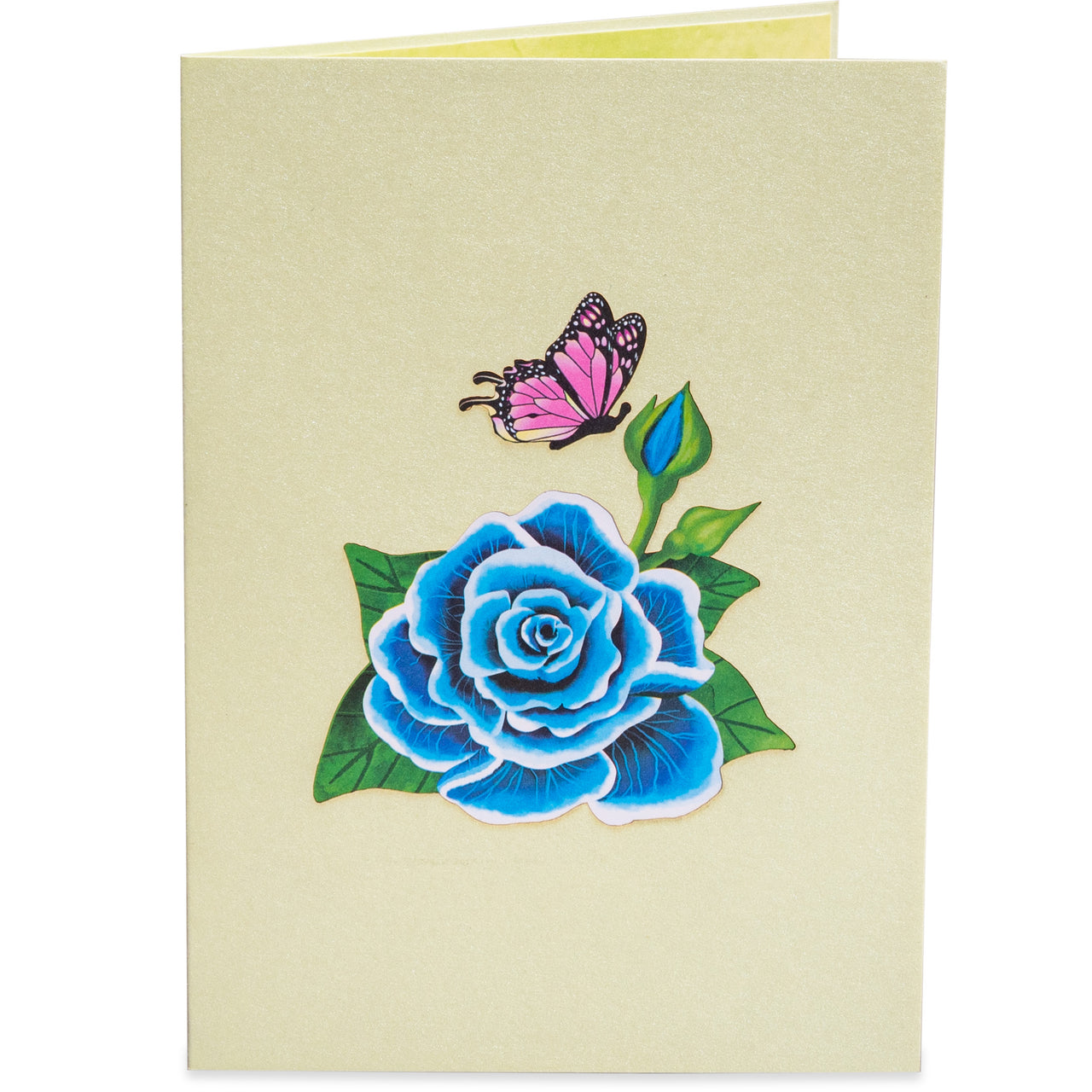 Blue Rose Pop Up Card