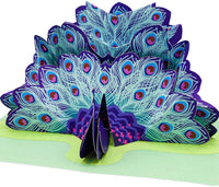 Thumbnail for Peacock Pop Up Card