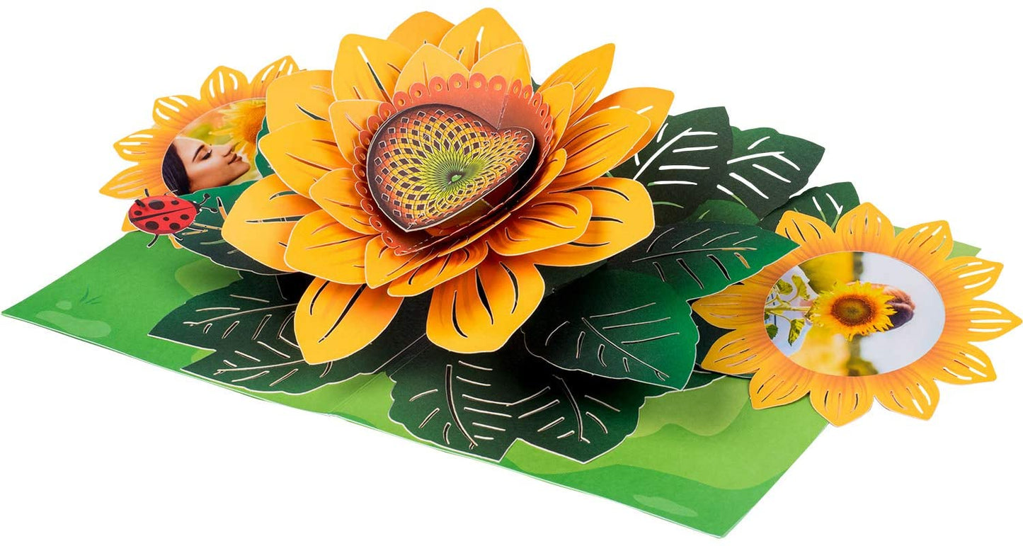 Sunflower Pop Up Card