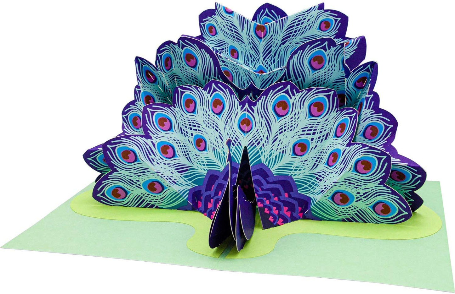 Peacock Pop Up Card