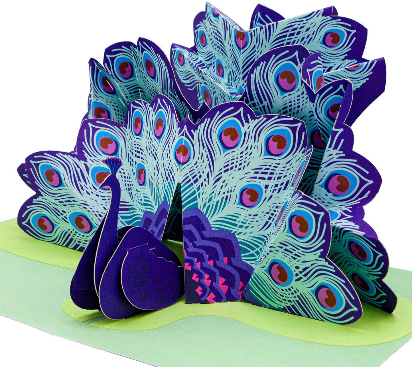 Peacock Pop Up Card