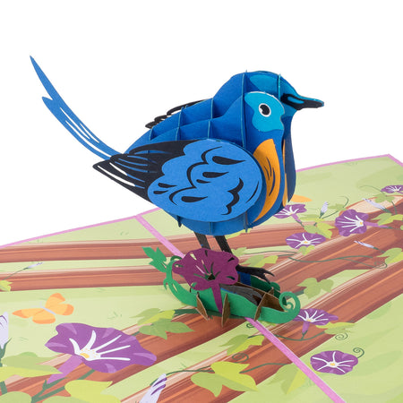 blue bird pop up card with natural background