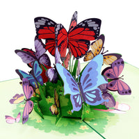 Thumbnail for butterfly greeting card, green background