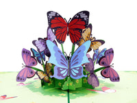 Thumbnail for Butterflies Pop Up Card
