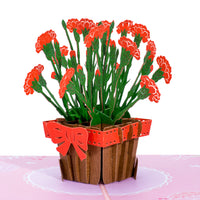 Thumbnail for carnations in a box popup greeting card, with red carnations