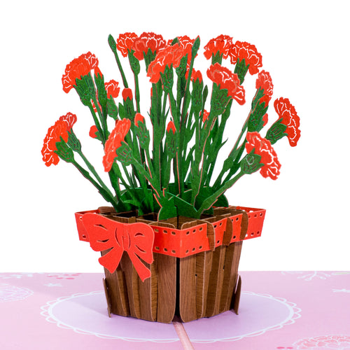 carnations in a box popup greeting card, with red carnations