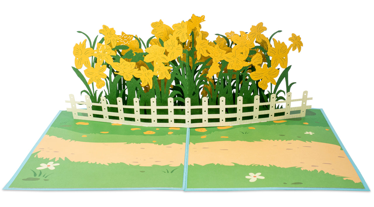 Daffodil Garden Pop Up Card