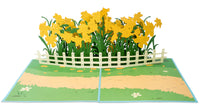 Thumbnail for Daffodil Garden Pop Up Card