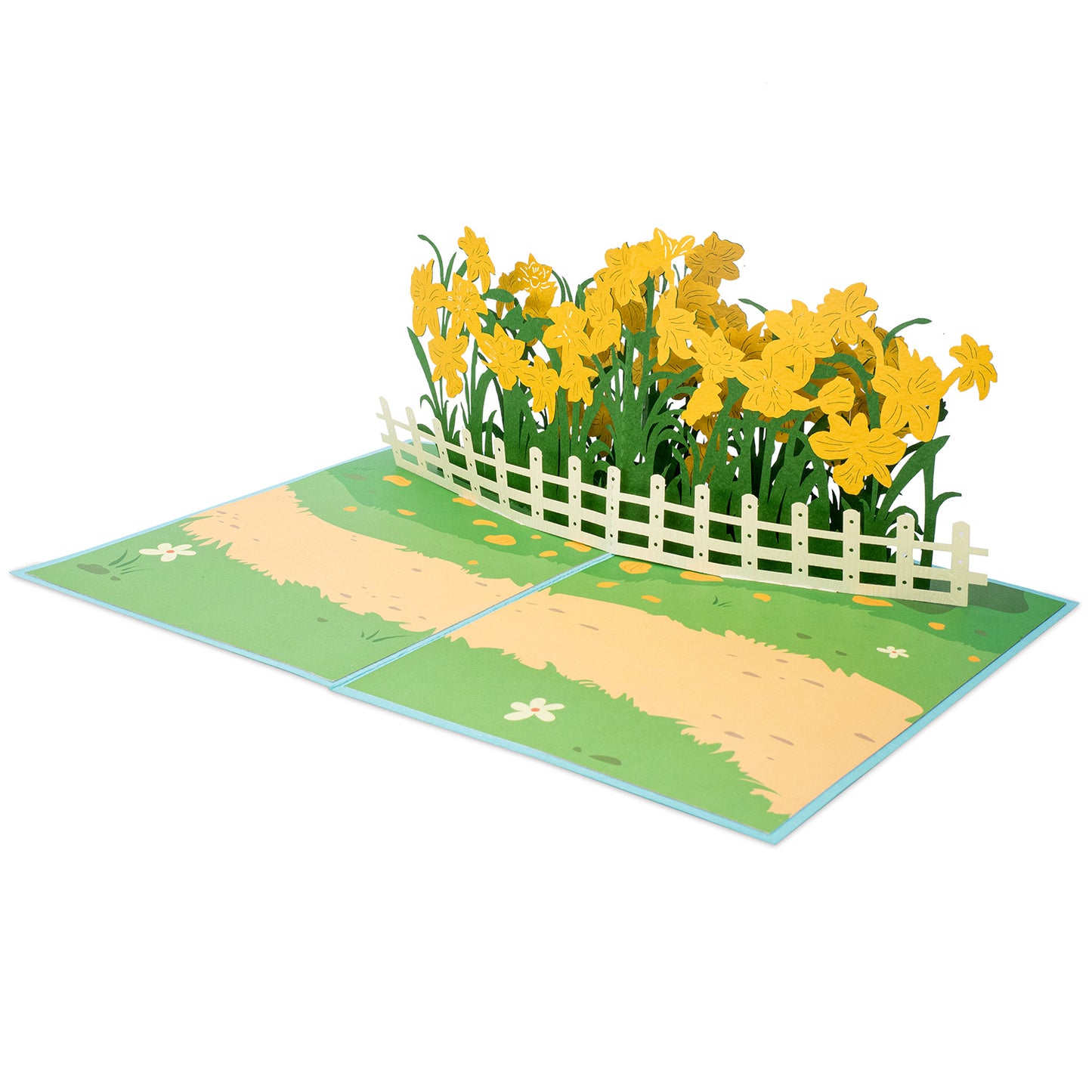 Daffodil Garden Pop Up Card