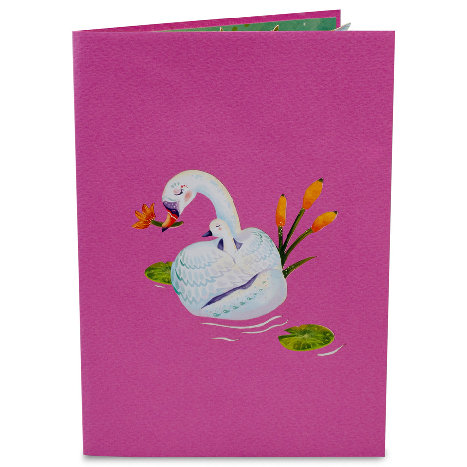 Duck and Ducklings Pop Up Card