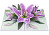 Lilies Pop Up Card