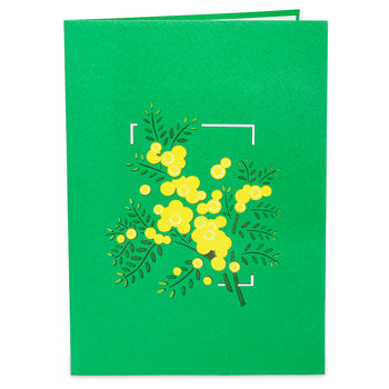 Mimosa Pop Up Card