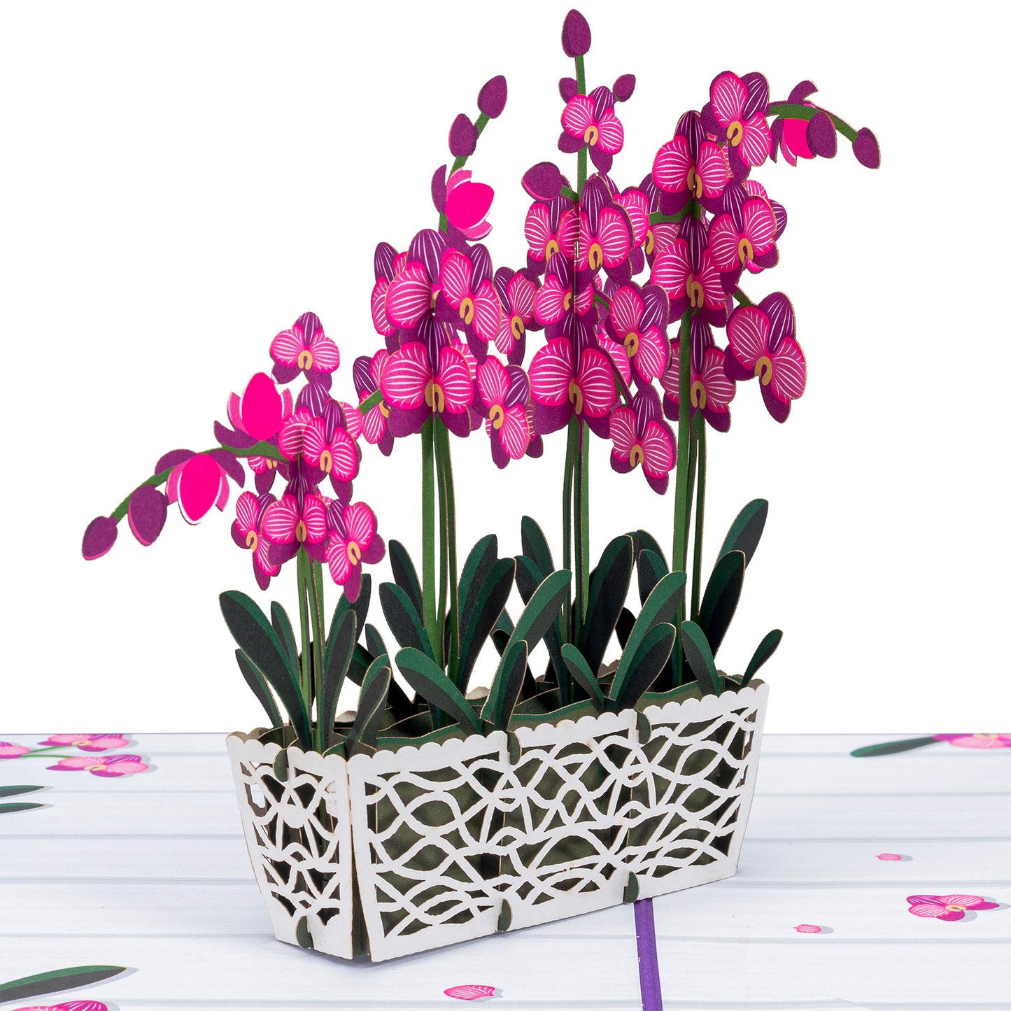 Orchids Pop Up Card