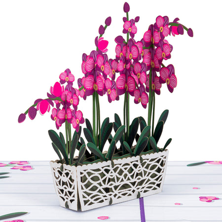 Orchids Pop Up Card