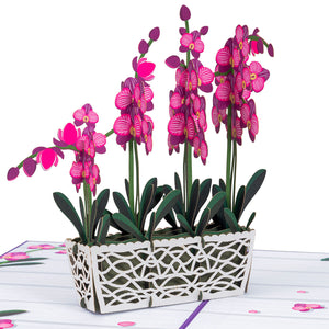 Orchids Pop Up Card