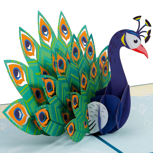 Peacock Pop Up Card