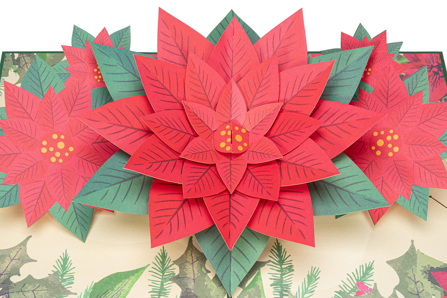 Poinsettia Pop Up Christmas Card