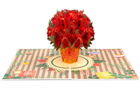 Thumbnail for Poinsettias Plant Pop-up Card