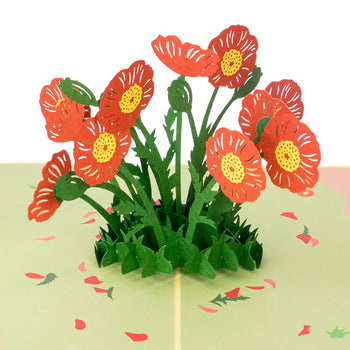 Poppy Flowers Pop Up Card