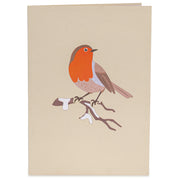 Robin Pop Up Card