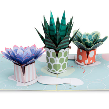 Succulents Pop Up Card