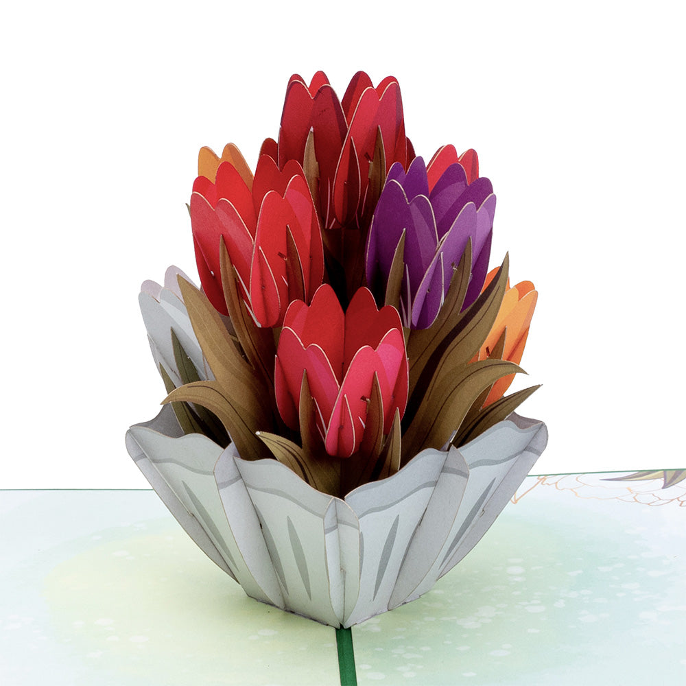 Tulips pop-up card