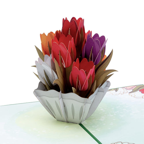 Tulips pop-up card