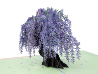 Thumbnail for Wisteria Tree Pop Up Card